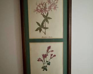 Vintage Botanical Prints