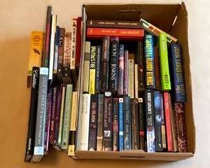 Large Fiction Book Lot – Bestselling Authors, Mystery, Romance, Thriller & Literary Novels