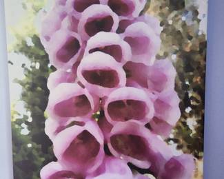 Canvas Print - Hollyhock