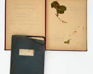 144 1950sHandmadeLeafPlantBookswDriedPlantNamingConventions