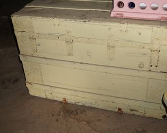 White painted trunk
