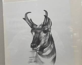 Spencer Williams Antelope print