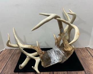 3 antler sets