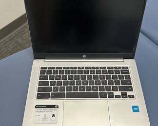 Lot #31 HP Chromebook 14 Intel Laptop Full HD Micro-Edge Display Google ChromeOS Silver