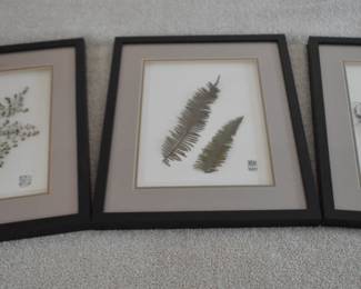 Botanical prints