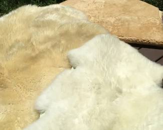 Sheepish