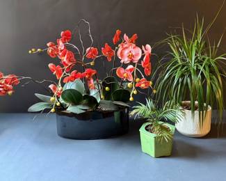 Artificial Orchid Arrangement with Two Live Houseplants