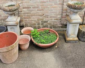 More garden selections