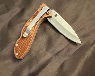 Buck 110 Folding Hunter Knife