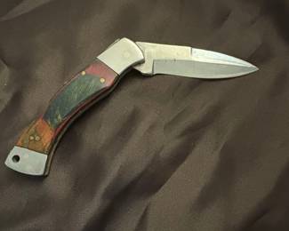 Buck 110 Folding Hunter with Mixed Wood Handle