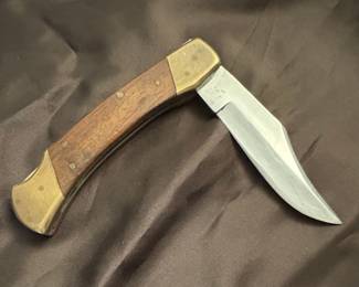 Buck Folding Hunter Knife