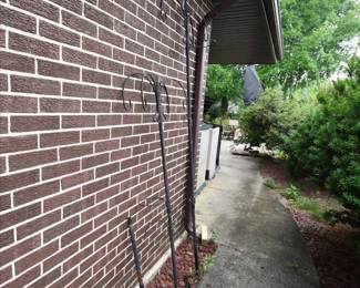 954Back Yard