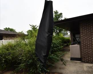 970Back Yard