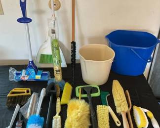 Cleaning Brushes More