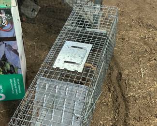 animal traps