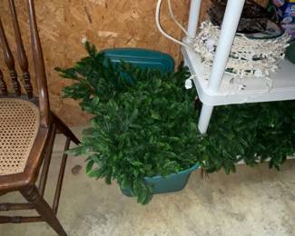 Fir 