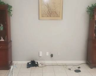 Cabinets - $250 each