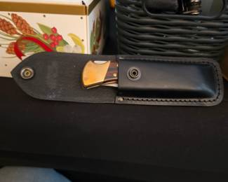 Buck 110 Folding Hunter knife features classic brass bolsters and a wood grain handle housed in a black leather sheath