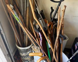 Walking sticks