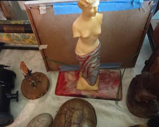 Turtles and more