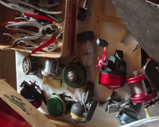 Reels fish