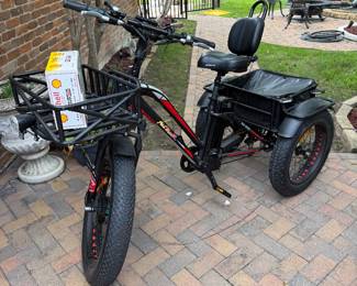 Electric 3 Wheel Bike