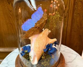 Butterfly Decor
