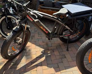 Electric Bike