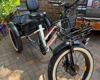 Electric 3 Wheel Bike