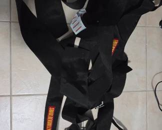 Shoulder Dolly Lifting straps