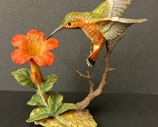 Hummingbird