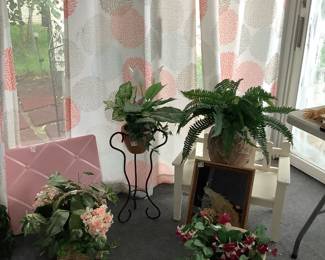 Silk Plants