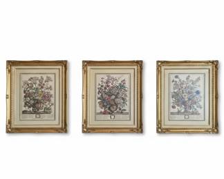 Robert Furber Botanical Prints July, October, November