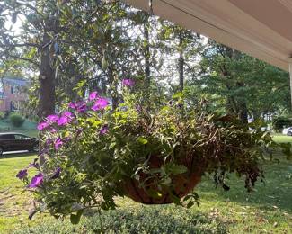 Hanging Flower Baskets