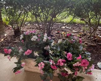 Petunia Window Box