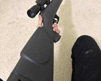 Pellet Gun