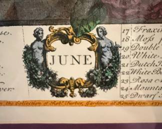 Botanical Print June Robert Furber Collection second image
