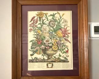 Botanical Print September by Robert Furber, from Twelve Months of Flowers