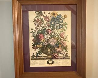 Botanical Print June Robert Furber Collection
