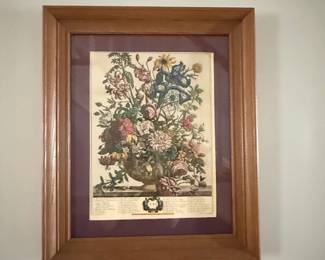 Robert Furber Twelve Months of Flowers June Print
