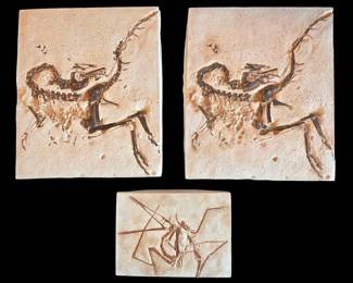 Trio of Prehistoric Fossil Replica Plaques