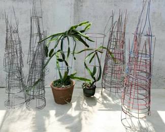 Estate Garden Lot TerraCotta Planters with Extensive Tomato Cages