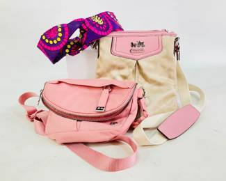 Coach and Lululemon Bags