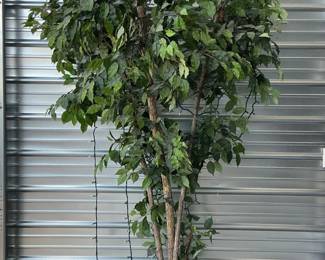 Faux Ficus Tree with Lights