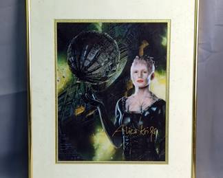 Alice Krige Autographed Framed Star Trek Poster, Approx 20" x 16" 