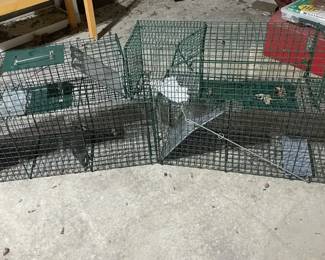 Four Animal Trap Cages of Varying Sizes