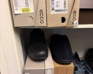 Ecco and Sas