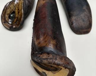 Tyrannosaurus Rex Tooth Casts Molded from original fossils to show features