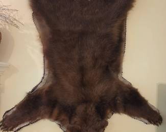 Real Bear 