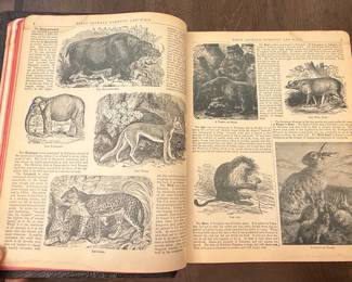 A.J. Holman Pictorial Family Bible, Self-Explanatory Edition, Pronouncing Edition